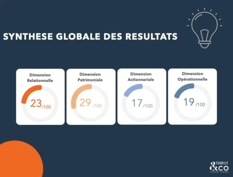 Outil gratuit - testez vos enjeux entreprises familiales - synthèse globale