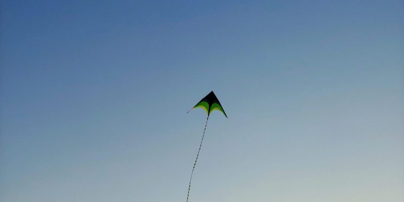Cerf-volant vert volant dans le ciel